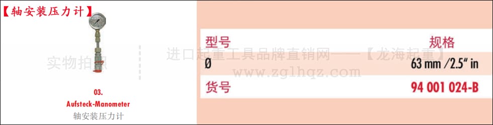 德國JUNG千斤頂配件：軸安裝壓力計(jì)